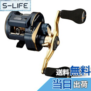 �y���������z�_�C��(DAIWA) 21 �\���e�B�KIC 100PL-DH