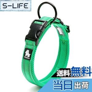 �y���������zcocomall���{�����X ����� ���̎�� �P���p ���^�A���^�A��^���p �y�b�g�p�i 3M���ˍޗ� �i�C������ �ʋC�� �e�͐� �\�t�g���b�V�� �ȒP���� ������� ���߉\ (XL, �O���[��)