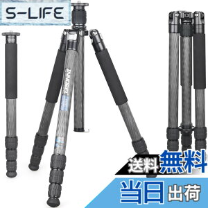 �y���������zINNOREL RT85C �J�[�{�� �O�r 173CM �g���x���O�r �v���� �i�b�g���b�N�� �G���x�[�^�[�� �ω׏d 25KG �l�i�r ��r�ώ� �p�C�v�a32mm ���y�� �^���� �o�R ��O �쒹 �B�e �X�p�C�N �O�r