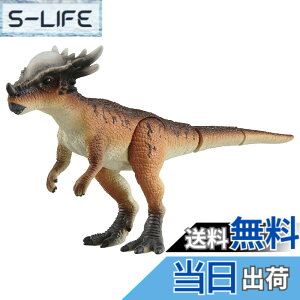 ���i�摜