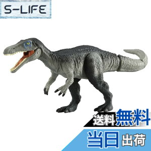 ���i�摜