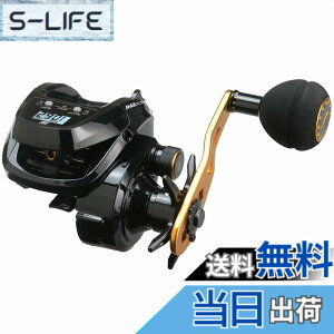 �y���������zAbuGarcia (�A�u�K���V�A) MAX DLC BG�[L ���� �f�W�^�����C���J�E���^�[ ������ �[�a �p���[�n���h�����f��