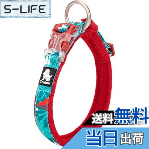�y���������zcocomall���{�����X ����� ���̎�� �P���p ���^�A���^�A��^���p �y�b�g�p�i �i�C������ �ʋC�� �e�͐� �\�t�g���b�V�� �ȒP���� ������� ���߉\ (XXS, blue&red)