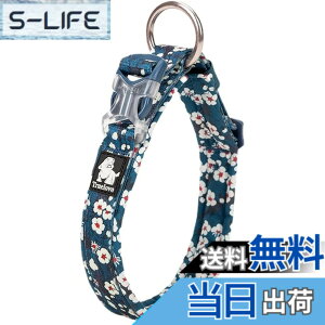 �y���������zcocomall���{�����X ����� ���̎�� �P���p ���^�A���^�A��^���p �y�b�g�p�i �i�C������ �ʋC�� �e�͐� �\�t�g���b�V�� �ȒP���� ������� ���߉\ (XXS, Saxony Blue)