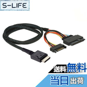 �y���������zchenyang PCIe 4.0 SFF-8611 to SFF-8639 �P�[�u�� SATA�d���t�� U.2 SFF-8639 NVME SSD �}�U�[�{�[�h �����g�� 1.64�t�B�[�g/0.5M