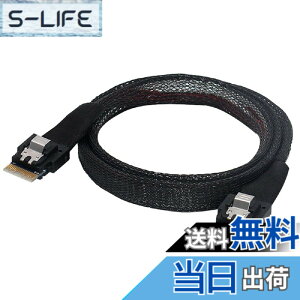 �y���������zCablecc PCI-E �X�������C�� SAS 4.0 SFF-8654 4i 38�s�� �z�X�g - SFF-8654 �X���� SAS �^�[�Q�b�g�P�[�u�� 50cm