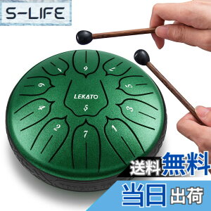 �y���������z�X���b�g�h���� �X�`�[���^���O�h���� LEKATO �����h���� 11�� 6�C���` �Ŋy�� �}���b�g ���[�o�b�O�t�� �ґz ���K �T (�W�F�C�h�O���[��)
