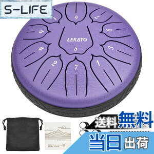 �y���������z�X���b�g�h���� �X�`�[���^���O�h���� LEKATO �����h���� 11�� 6�C���` �Ŋy�� �}���b�g ���[�o�b�O�t�� �ґz ���K �T (�p�[�v��)