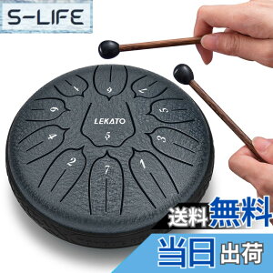�y���������z�X���b�g�h���� �X�`�[���^���O�h���� LEKATO �����h���� 11�� 6�C���` �Ŋy�� �}���b�g ���[�o�b�O�t�� �ґz ���K �T (�l�C�r�[�u���[)