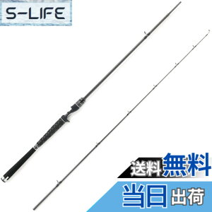 �y���������zAbuGarcia (�A�u�K���V�A) �\���e�B�[�X�e�[�W�v���g�^�C�v �{�[�g�V�[�o�X SaltyStageProtoType BoatSeabass XBSC-642X-BB
