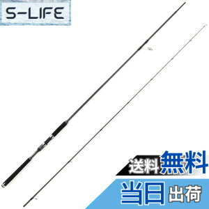 �y���������zAbuGarcia (�A�u�K���V�A) �\���e�B�[�X�e�[�W�v���g�^�C�v �V�[�o�X SaltyStageProtoType Seabass XSBS-1002MMH