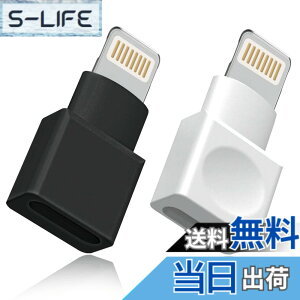 �y���������z���C�g�j���O�����P�[�u�� �A�_�v�^�[ 2�_�p�b�N Apple(�A�b�v��) MFI�F�� iPhone�[�d�� �����P�[�u�� �I�X�^-���X�^ �h�b�N �G�N�X�e���_�[ iPhone 13 12 11 X XS XR 8 7 6 5 iPad�Ή� �I�[�f