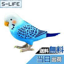 セキセイインコおもちゃ おしゃべり天才インコちゃん おしゃべりインコ おしゃべり インコ おもちゃ ブランドタカラトミー の通販