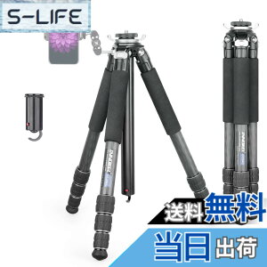 �y���������z�O�r �J����-INNOREL �J�[�{�� �O�r �R���p�N�g ��჌�t�O�r �{�[���_��t�� 20KG�ő�ω׏d 4�i�L�k 10-159CM��ƍ��� 29.0/25.6/22.2/18.8MM�p�C�v�a 360°�p�m���}�B�e �}�N���B�e �r�f�I