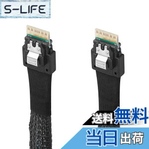 �y���������zTwozoh SAS SFF-8654 to SFF-8654�P�[�u�� SAS SFF-8654�P�[�u�� 38�s���T�[�o�[HDD�f�[�^�]���P�[�u�� �T�[�o�[/�f�[�^�X�g���[�W/���[�N�X�e�[�V�����p 1M �K�i���������s��