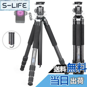 �y���������zINNOREL �J�����p �J�[�{�� �O�r N36���R�_�� �L�b�g�Z���^�[�|�[���t�� 20KG�ω׏d 10-168CM���� 28/25/22/19CM�p�C�v�a �g���x�� �^���� �iGT284C+N36)�j