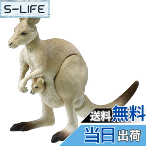 ���i�摜