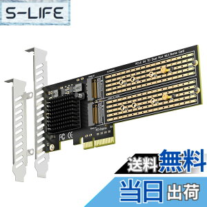 �y���������zGLOTRENDS PA20 2����M.2 PCIe �ϊ��A�_�v�^, PCIe 3.0 x4 �C���^�[�t�F�[�X, PCIe ����@�\�ɑΉ�, M.2 NVMe �\�t�g RAID �ɑΉ�