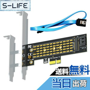 �y���������zGLOTRENDS PA09-SA M.2 SATA - SATA III PCIe�ϊ��A�_�v�^�[�J�[�h�AM.2 SATA SSD�̂��߂�