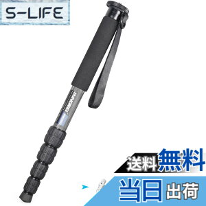 �y���������zINNOREL ��r �J�����p �J�[�{���� 22lbs/10kg�ω׏d 5�Z�N�V�����L�k�\ �R���p�N�g �֗� �y�� ���s�p�iRM285C�j