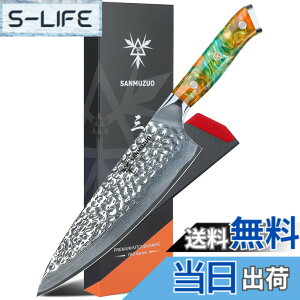 "�y���������zSANMUZUO 8"" Chef Knife - Professional Kitchen Knife - Hammered Damascus Steel & Resin Handle - YAO Series"