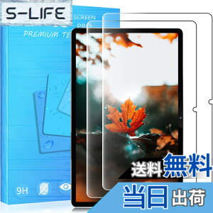 �y���������z�y2���Z�b��p�K���X�ی�z�Ή� Lenovo Tab P11 Pro (2nd Gen) 2022�N���� �^�u���b�g ZAB50181JP 11.2�C���` �p�̃K���X�t�B���� �d�x9H ���{���f�ވ��Ɏq�� ���^0.33mm ��U�h�~ ������ �ϏՌ�