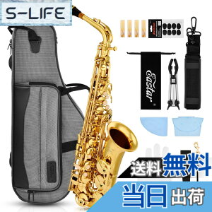 アルトサックス 初心者 入門セット」の人気商品一覧 | 安い商品を通販 