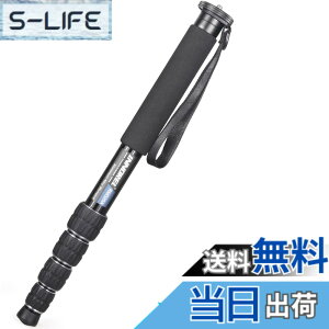 �y���������zINNOREL ��r �J�����p �R���p�N�g��r �A���~��r 12KG�ω׏d 5�i�L�k �g���x��/�쒹�B��/�����/�X�|�[�c�C�x���g�ɑΉ� ���s��r RM325A
