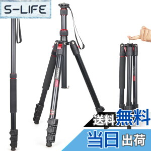 �y���������z��჌�t�O�r INNOREL �g���x���O�r ��r�ώ� �A���~�� 15KG�ω׏d 197CM�ő��ƍ��� �R���p�N�g�O�r �J�������~���[���X�p �y�� RT30