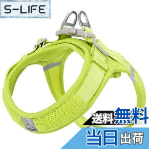 �y���������zcocomall �A�ɗD�������n�[�l�X 2023�ŐV TRUE LOVE���{�����X ���p�n�[�l�X ���p���� �h�b�O �y�b�g�p�i �n�[�l�X���[�h 3M���ˍޗ� �P�� �i�C������ ���^���A���^���A���^���Ɍ��� 