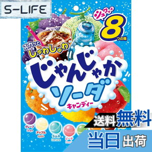 �y���������z���C�I���َq ����񂶂Ⴉ�\�[�_ 114gx6��