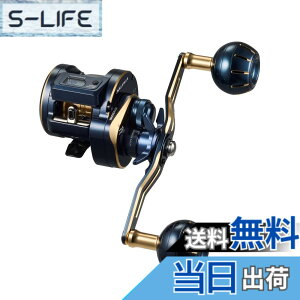 �y���������z�_�C��(DAIWA) �J�E���^�[�t�L�I�t�V���A�x�C�g���[�� �\���e�B�KIC 100HL-DH