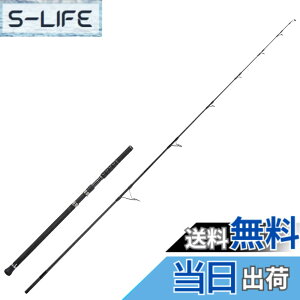 �y���������zAbuGarcia (�A�u�K���V�A) �\���e�B�[�X�e�[�W�v���g�^�C�v �c�i SaltyStageProtoType TUNA XTNS-84X