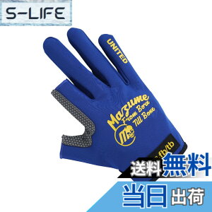 �y���������z�}�Y��(Mazume) ���C�g�O���[�u�i2�{�J�b�g�jMZGL-S716-06 �l�C�r�[ LL