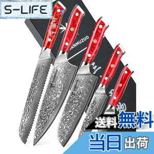 �y���������zSANMUZUO Chef Cooking Knives Set- Kitchen Knife Set of 5 Piece - Ultra-Sharp VG10 Damascus Steel & Resin Handle - Xuan Series (Sunset Red)