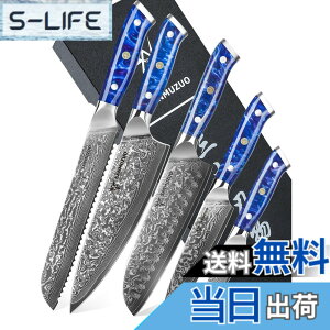 �y���������zSANMUZUO Chef Cooking Knives Set- Kitchen Knife Set of 5 Piece - Ultra-Sharp VG10 Damascus Steel & Resin Handle - Xuan Series (Sapphire Blue)