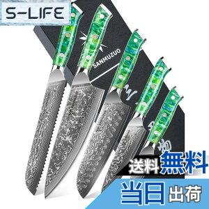 �y���������zSANMUZUO Chef Cooking Knives Set- Kitchen Knife Set of 5 Piece - Ultra-Sharp VG10 Damascus Steel & Resin Handle - Xuan Series (Jade Green)