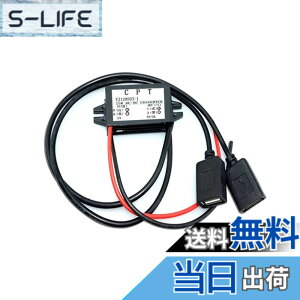 �y���������zRenjzle USB�d���A�_�v�^ �f���A���_�u�� 2 USB DC-DC �J�[�R���o�[�^ ���W���[���ԗp�d�͕ϊ��� �d���R���o�[�^ (��*1)