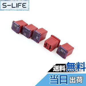 �y���������zACROPIX ���XPAL�q���[�Y �����ԗp �v���X�`�b�N�V�F�� ���j�o�[�T�� 50A 12V-58V ���b�h 5��