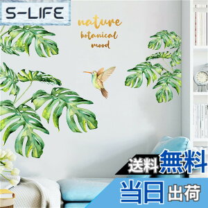 �y���������zWOHAHA �E�H�[���X�e�b�J�[ �ϗt�A�� �썑 �n�[�~���O�o�[�h �� �i�F �ǎ��V�[�� �͂����� �I�V���� �k�� Nature Botanical Mood �E�H�[�����Ă����[ �䟭�� ���r���O���[�� �Q�� �Ǐ���