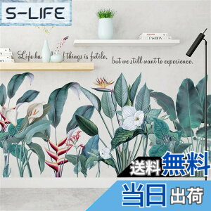 �y���������zWOHAHA �E�H�[���X�e�b�J�[ ������� �A�� �M�ѐA���̗t �k�� ���m�g�[�� �� �i�F life had a lot of things is futile we still want to experience �p�� �E�H�[���V�[�� �ǎ��V�[�� �͂����� �ǂɓ\