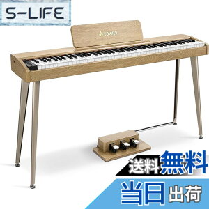 �y���������zDonner �d�q�s�A�m 88���� �ł񂵂҂��� �x���V�e�B�Z���V�e�B�u���� �^�b�` MIDI 3�{�y�_�� �X�^���h �A�_�v�^�[�t �����݂�������ؐ� ���S�� �R���p�N�g ���{������� �I�[�N�� 