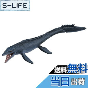 ���i�摜