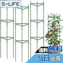 楽天市場】キュウリ栽培 支柱の通販
