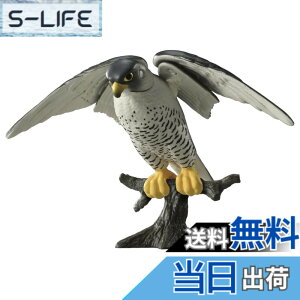 ���i�摜