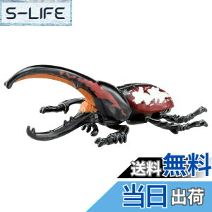 ���i�摜