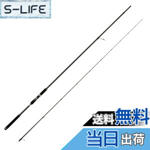�y���������zAbuGarcia (�A�u�K���V�A) �\���e�B�[�X�e�[�W�v���g�^�C�v �T�[�t�X���C���[ SaltyStageProtoType SURFSLAYER XSFS-1082M