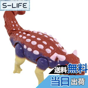 ���i�摜