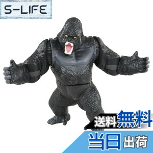 ���i�摜