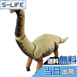 ���i�摜